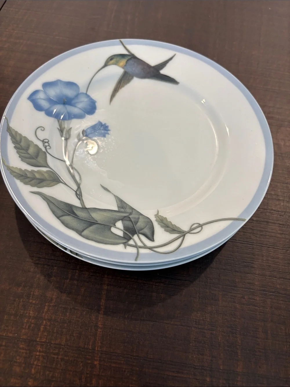 Williams Sonoma Summer Studies Salad Plates Set of 6 Morning Glory Botanical Mad